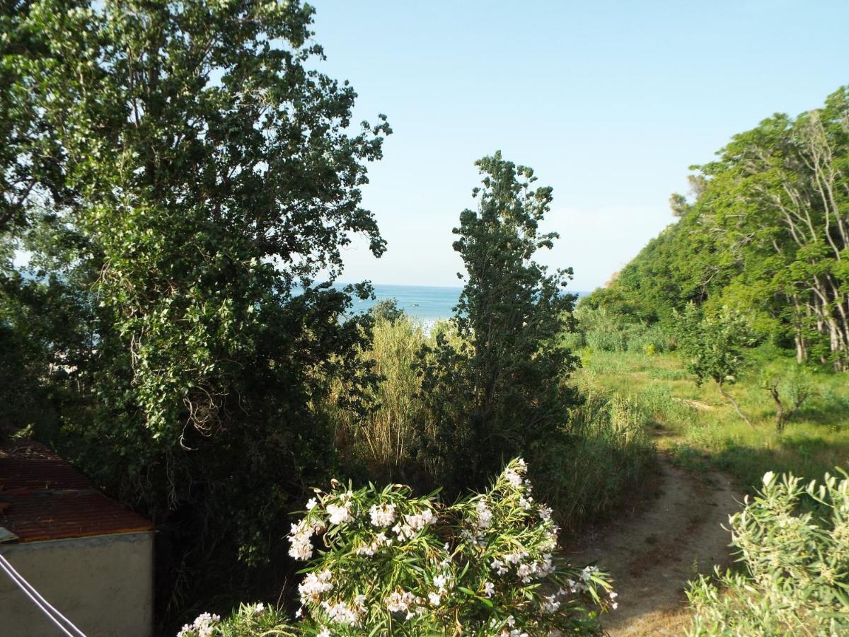 La Grazia Aparthotel Parghelia